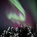 Uitto * Rovaniemi
